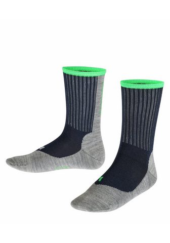 FALKE Носки Active Power (1 пар)