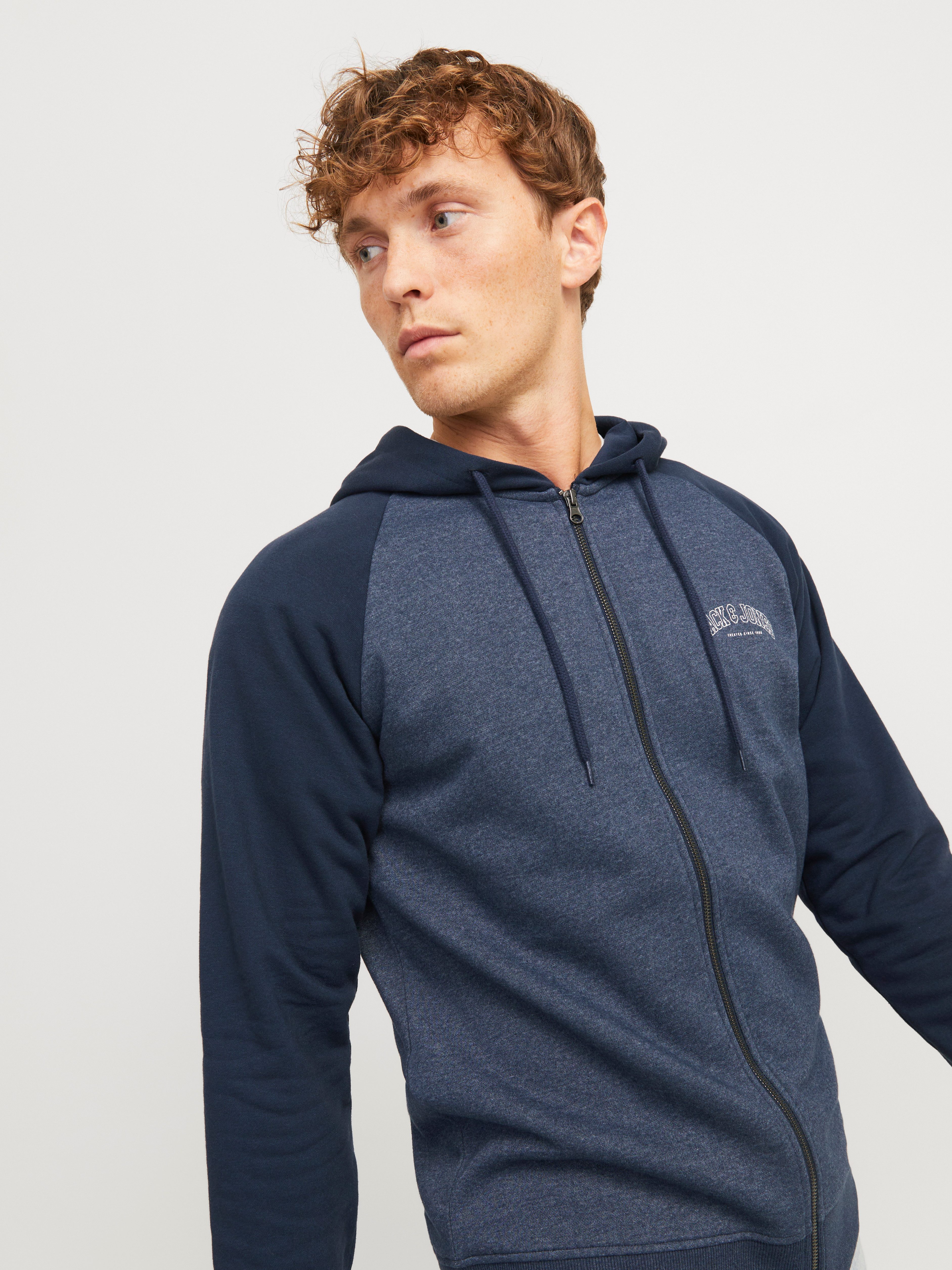 Jack & Jones Kapuzensweatjacke JJRICKY SWEAT günstig online kaufen
