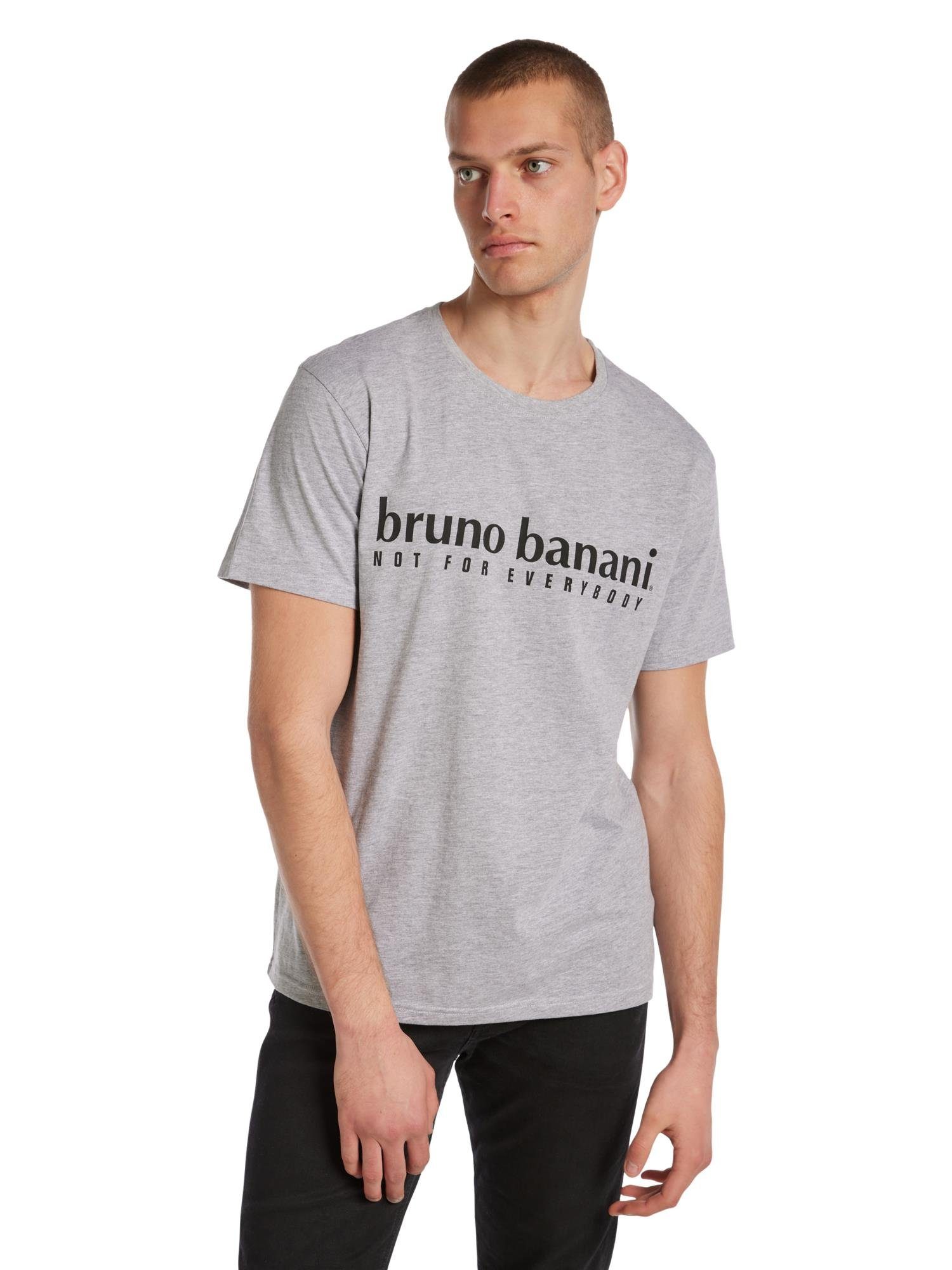 Bruno Banani T-Shirt Abbott Grau / Melange