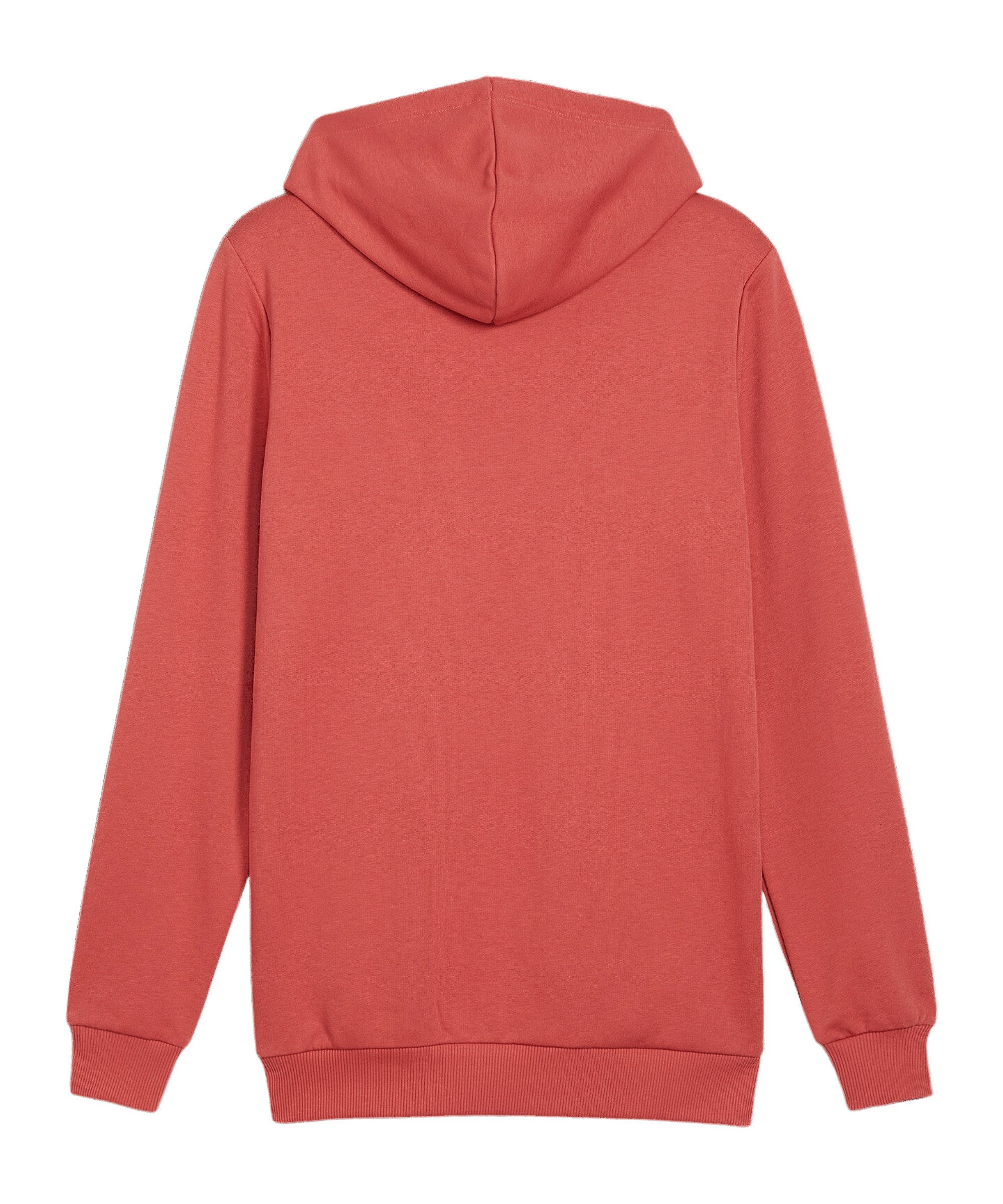 PUMA Sweatshirt PUMA BVB Dortmund Ftbl günstig online kaufen