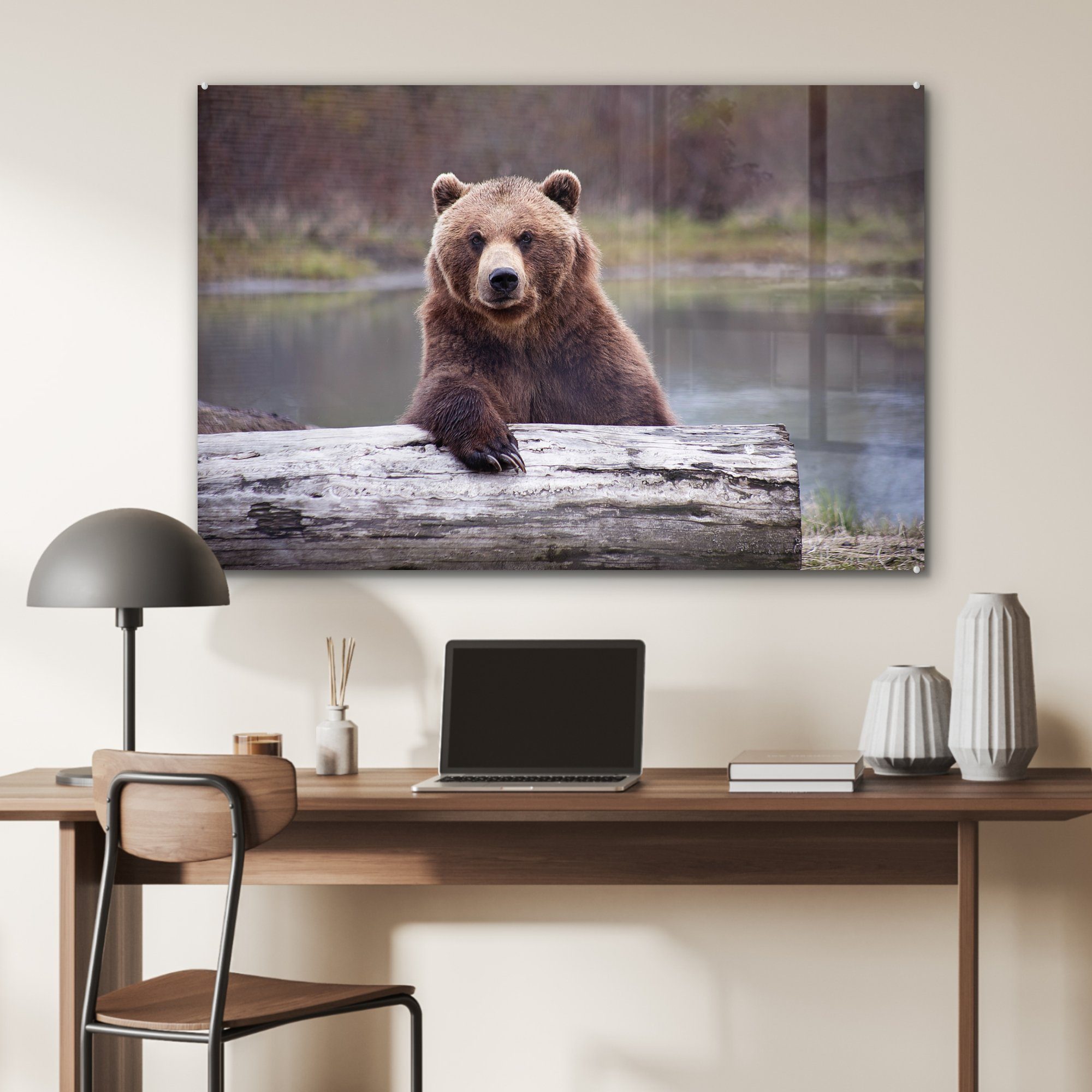 MuchoWow Acrylglasbild Bild eines St), Acrylglasbilder verblassten Grizzlybären Schlafzimmer & Wohnzimmer (1 vor einem Hintergrund