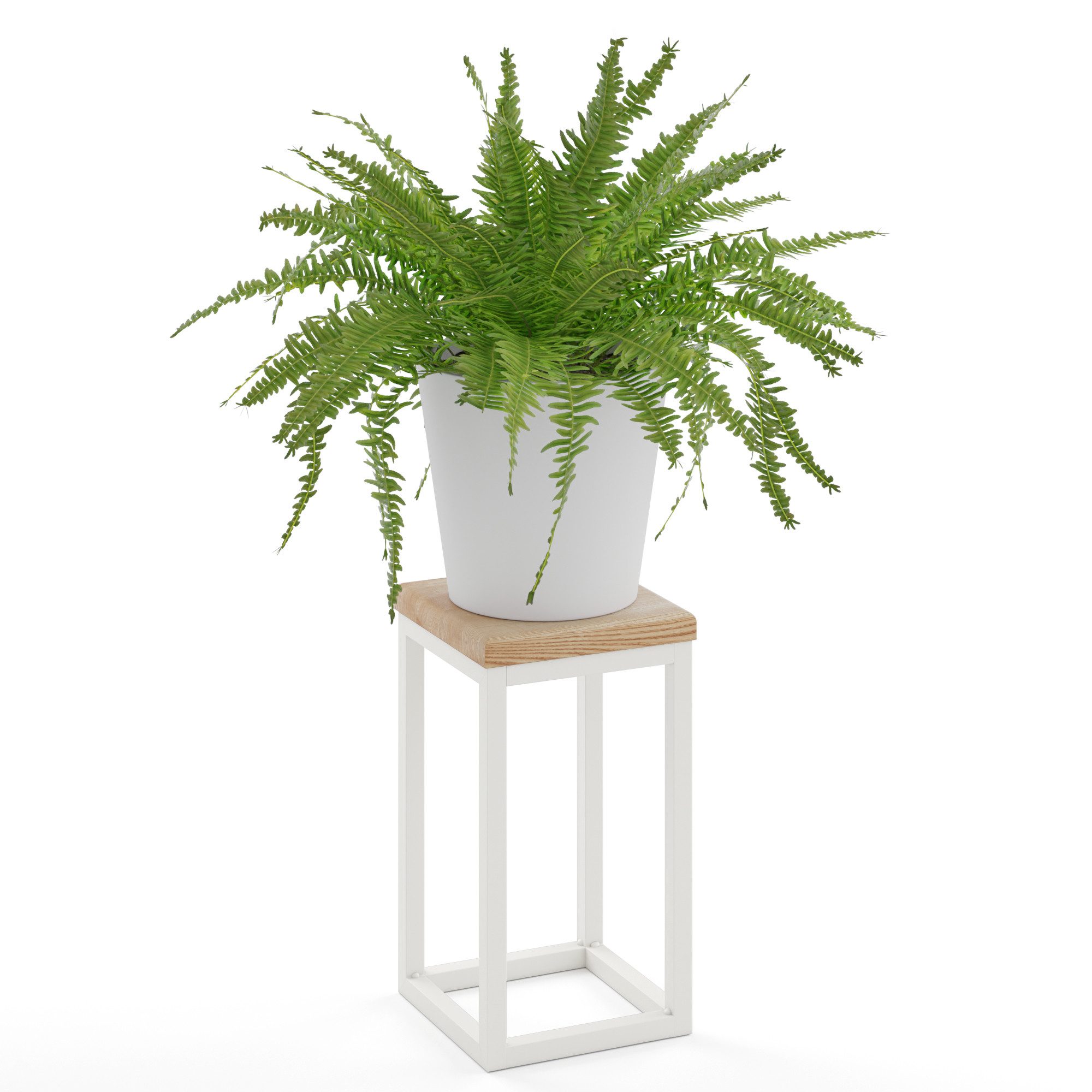 LAMO Manufaktur Blumenständer LAMO Manufaktur 30cm Pflanzenständer Blumenst günstig online kaufen