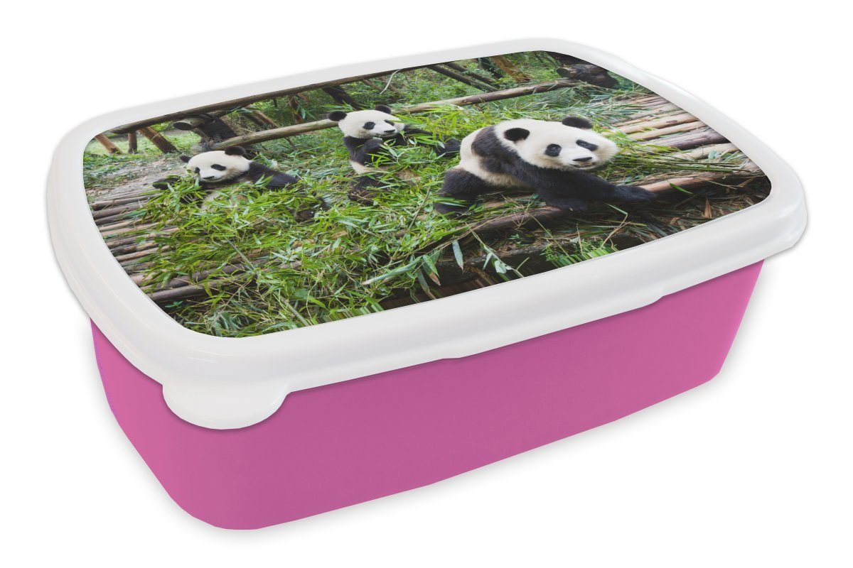 MuchoWow Lunchbox Pandas - Bambus - Blätter, Kunststoff, (2-tlg), Brotbox für Erwachsene, Brotdose Kinder, Snackbox, Mädchen, Kunststoff rosa