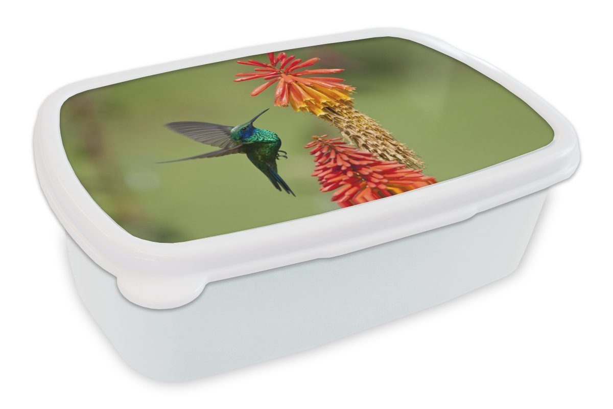 MuchoWow und Kolibri für Blumen, - Kinder - Kunststoff, für Erwachsene, (2-tlg), Vogel weiß Lunchbox Mädchen und Brotdose, Brotbox Jungs
