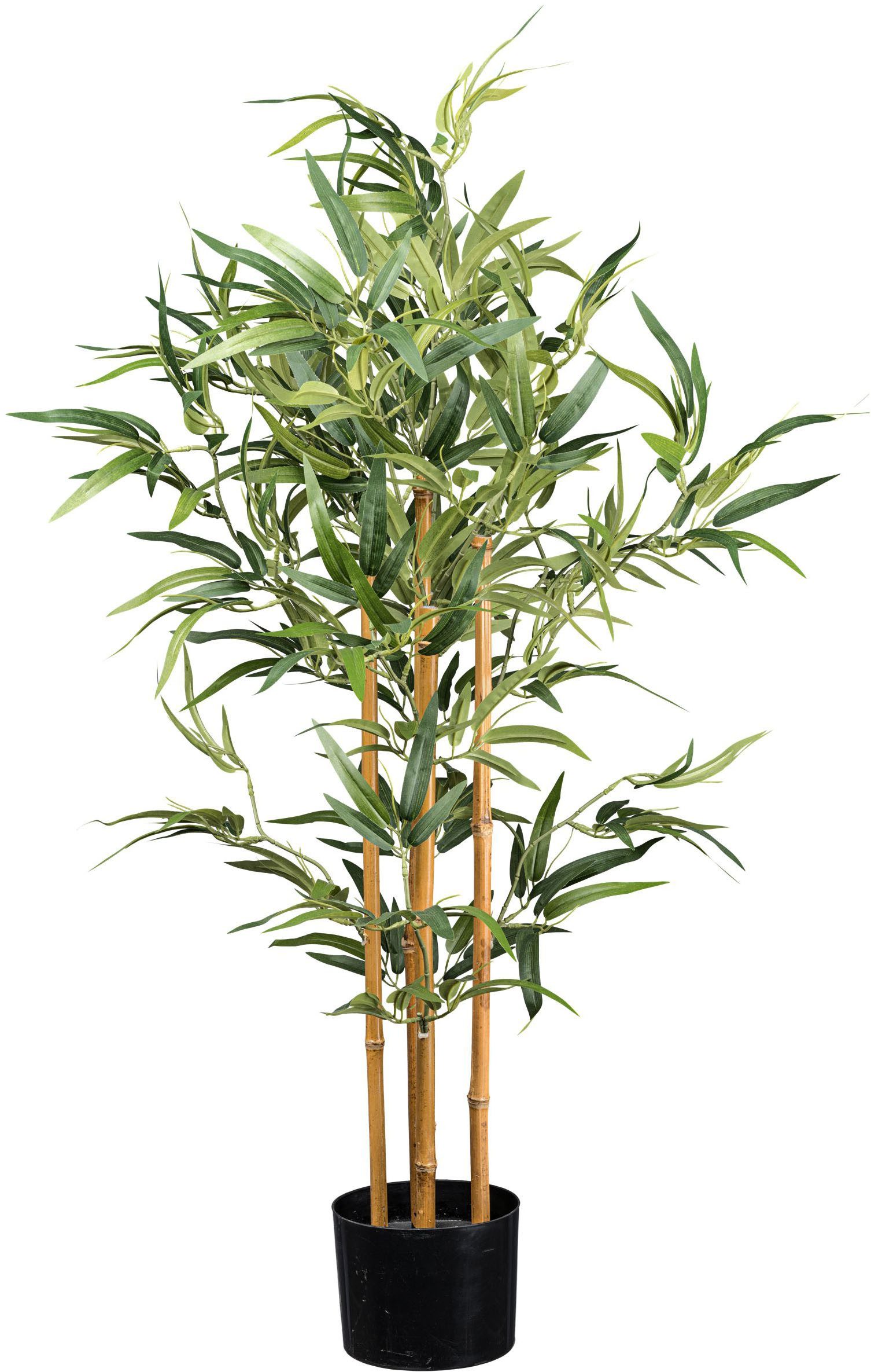 Kunstbaum Bambus Bambus, Creativ green, Höhe 105 cm, mit echten Bambusstäbe günstig online kaufen