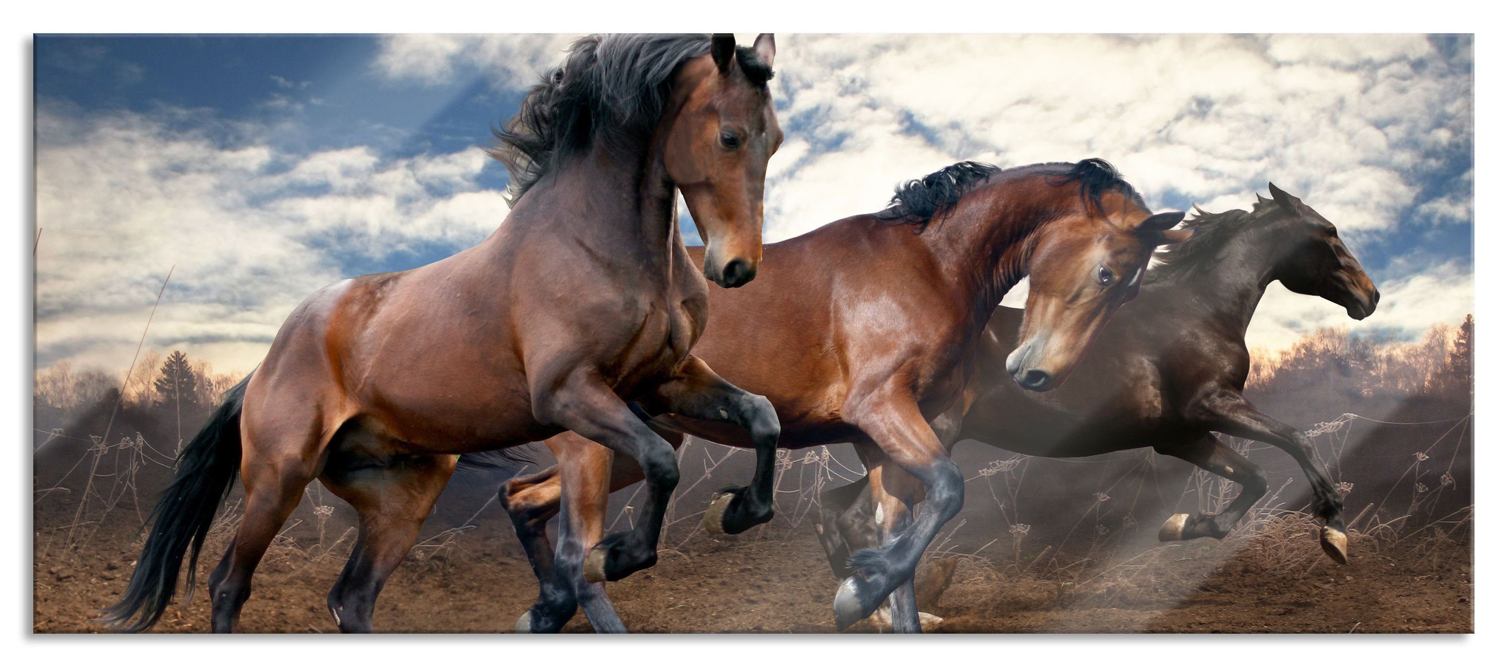Pixxprint Glasbild Wilde freie Pferde, Wilde freie Pferde (1 St), Glasbild aus Echtglas, inkl. Aufhängungen und Abstandshalter