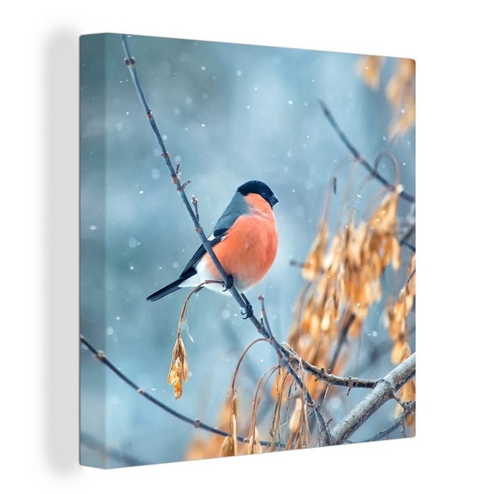 OneMillionCanvasses® Leinwandbild Schnee - Vogel - Tier (1 St) Leinwand Bilder für Wohnzimmer Schlafzimmer