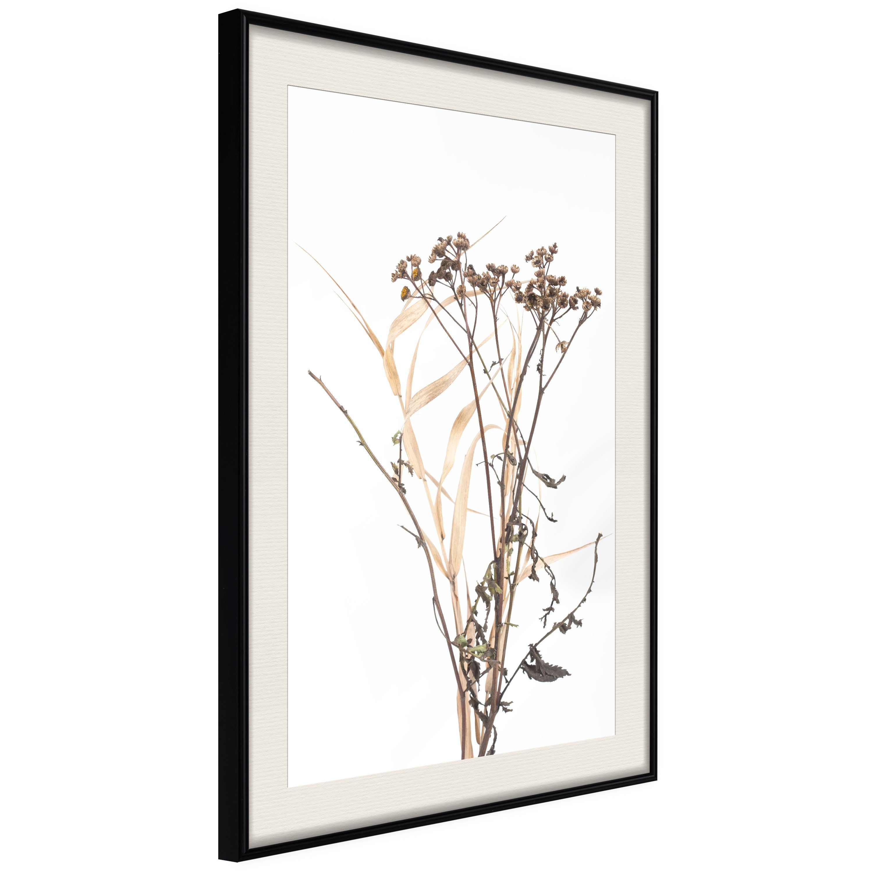 Artgeist Poster Camomile. € 57,45