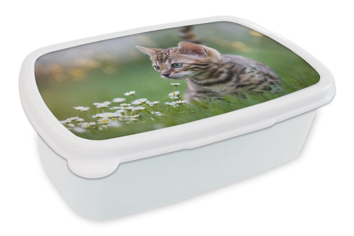 Ein Kunststoff, Brotbox Kätzchen für (2-tlg), MuchoWow für weiß Jungs Gras, Erwachsene, Mädchen im Brotdose, und Kinder und Lunchbox