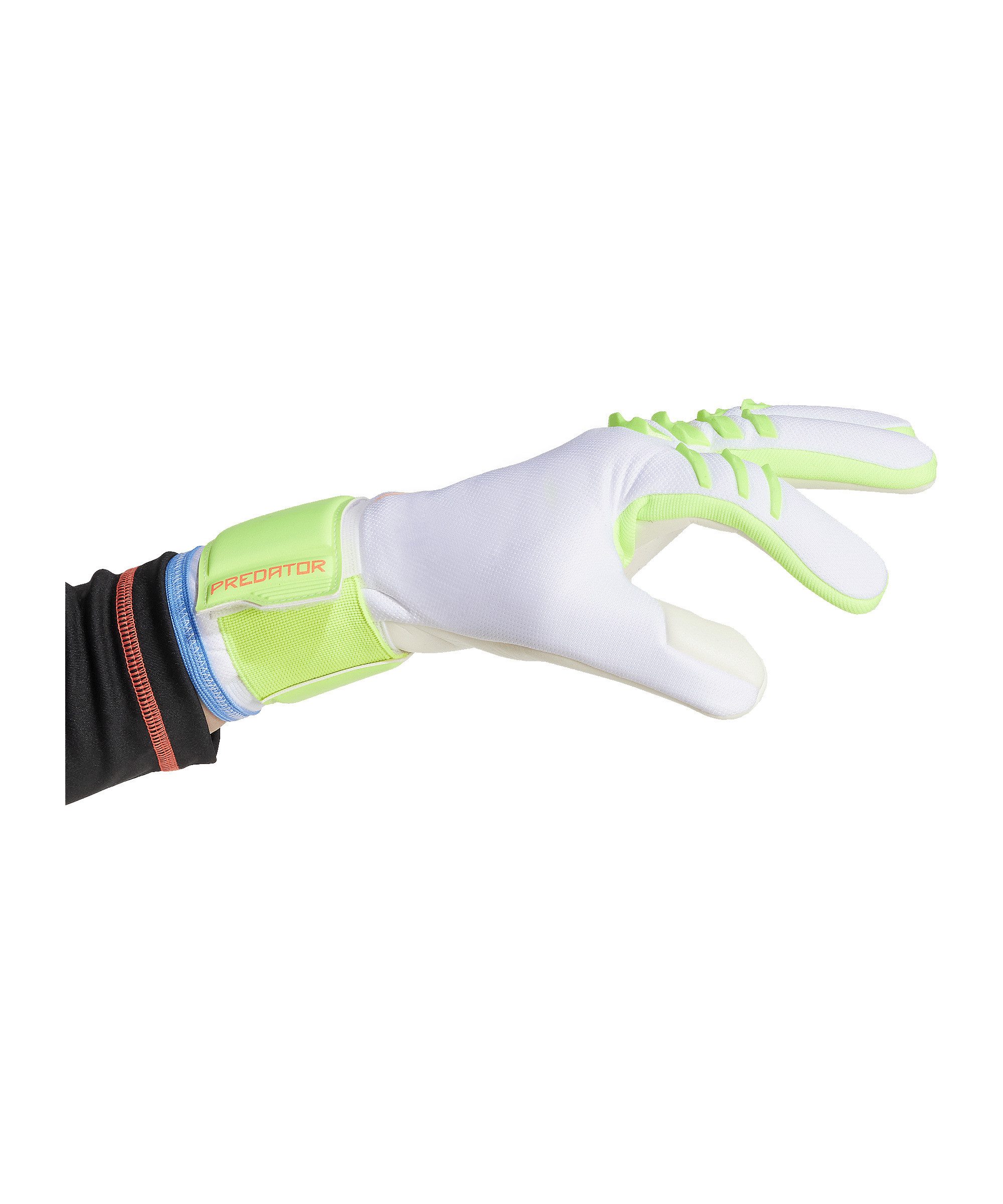 adidas Performance Torwarthandschuhe adidas Performance günstig online kaufen