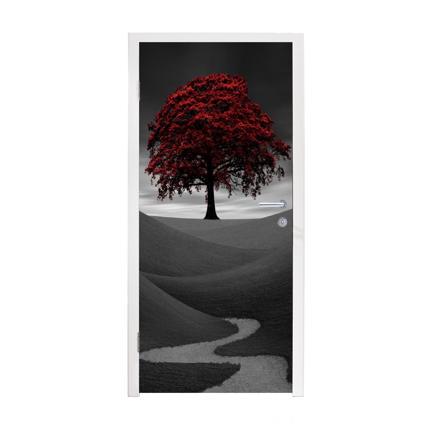 MuchoWow Türtapete Schwarz-Weiß-Foto Tür, roten mit Matt, Fototapete bedruckt, 75x205 für St), (1 einem cm Türaufkleber, Baum
