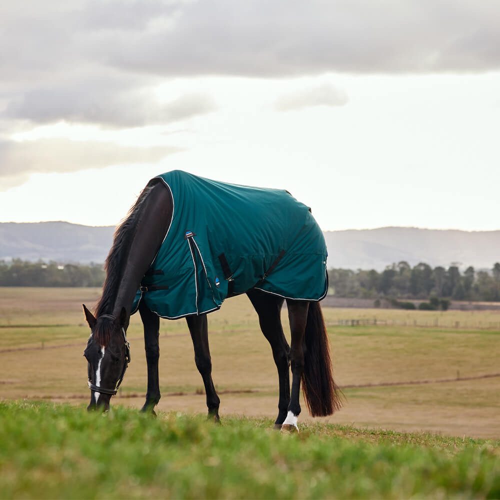 WeatherBeeta Pferde-Regendecke Weatherbeeta Comfitec Classic Turnout 50g