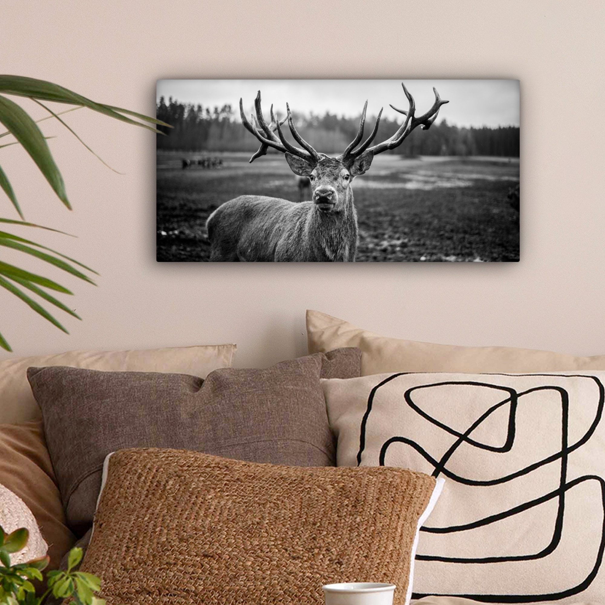 OneMillionCanvasses® Leinwandbild Panorama Tiere - Hirsch günstig online kaufen