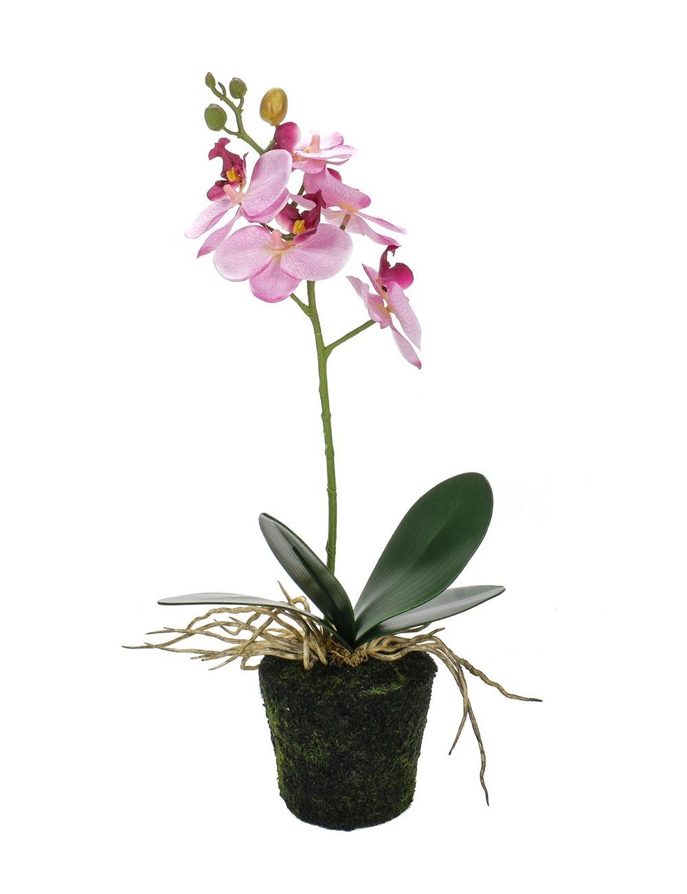 Kunstpflanze Phalaenopsis