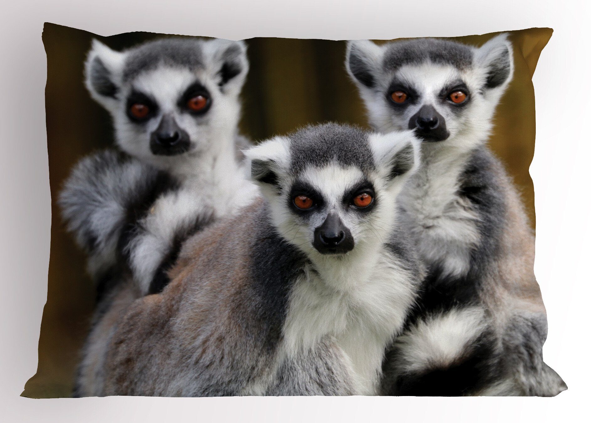 Abakuhaus Size angebundener Ring Affe Gedruckter Lemur Dekorativer (1 Kissenbezug, Standard Stück), King Kissenbezüge Tiere
