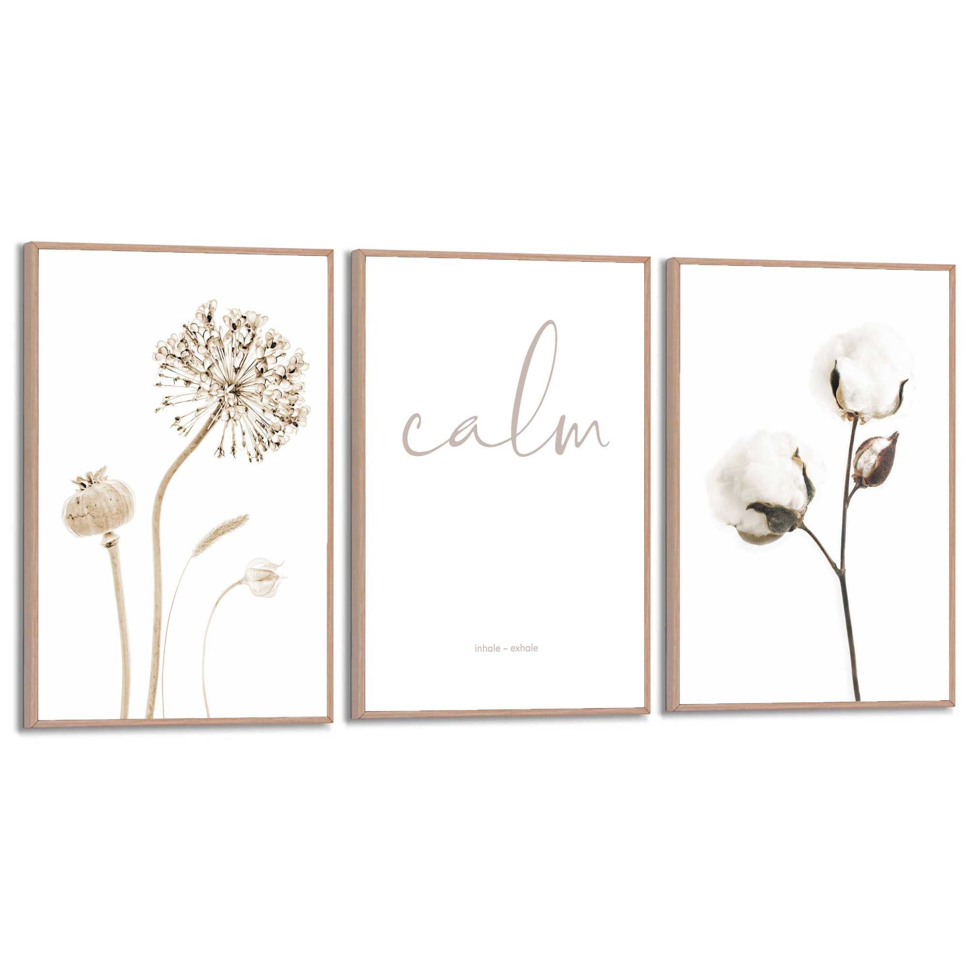 Reinders! Poster Trockene Blumen günstig online kaufen