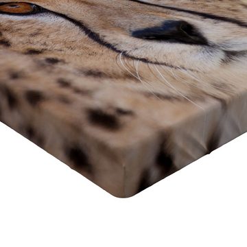 Spannbettlaken Soft Dekorativer Stoff Bettwäsche Rund-um Elastischer Gummizug, Abakuhaus, Leopard Close up Bild von Cheetah
