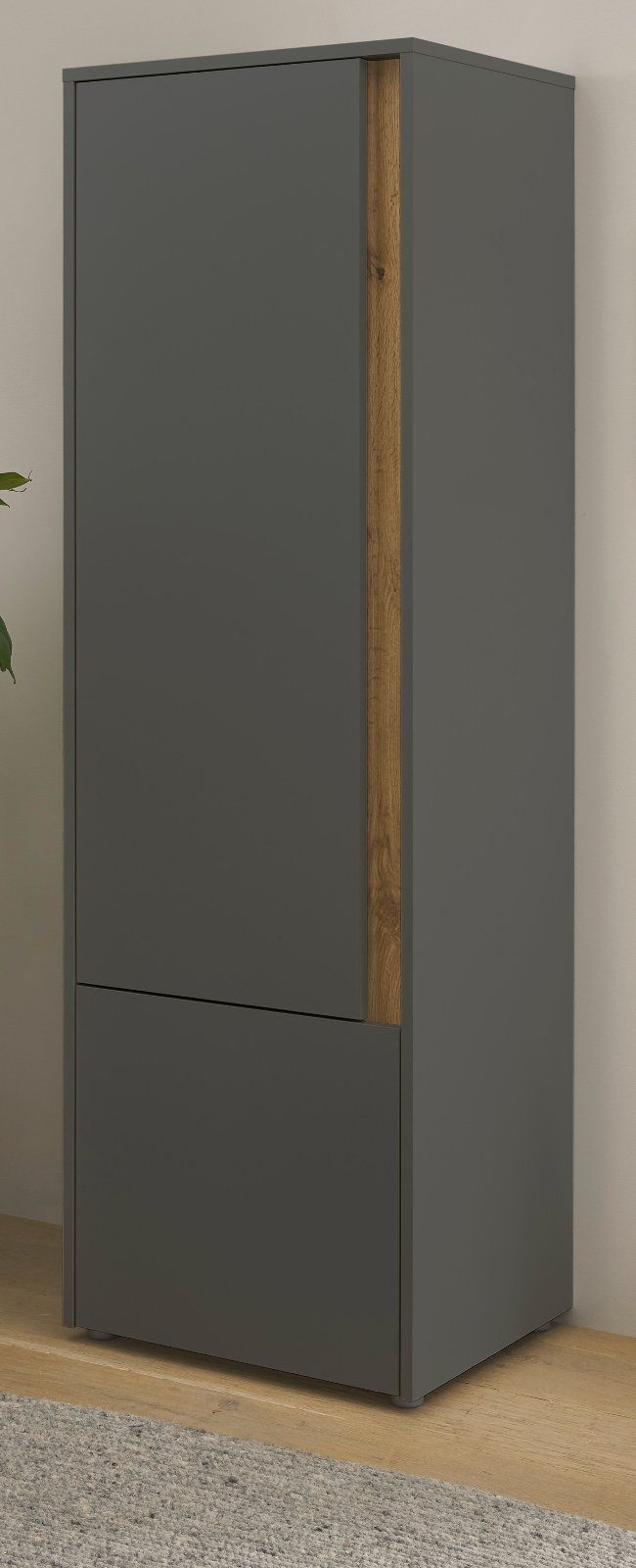 Furn.Design Aktenschrank Center (Büroschrank in grau mit Wotan Eiche,  2-türig, 4 OH, 50 x 158 cm) wechselbarer Türanschlag | Aktenschränke