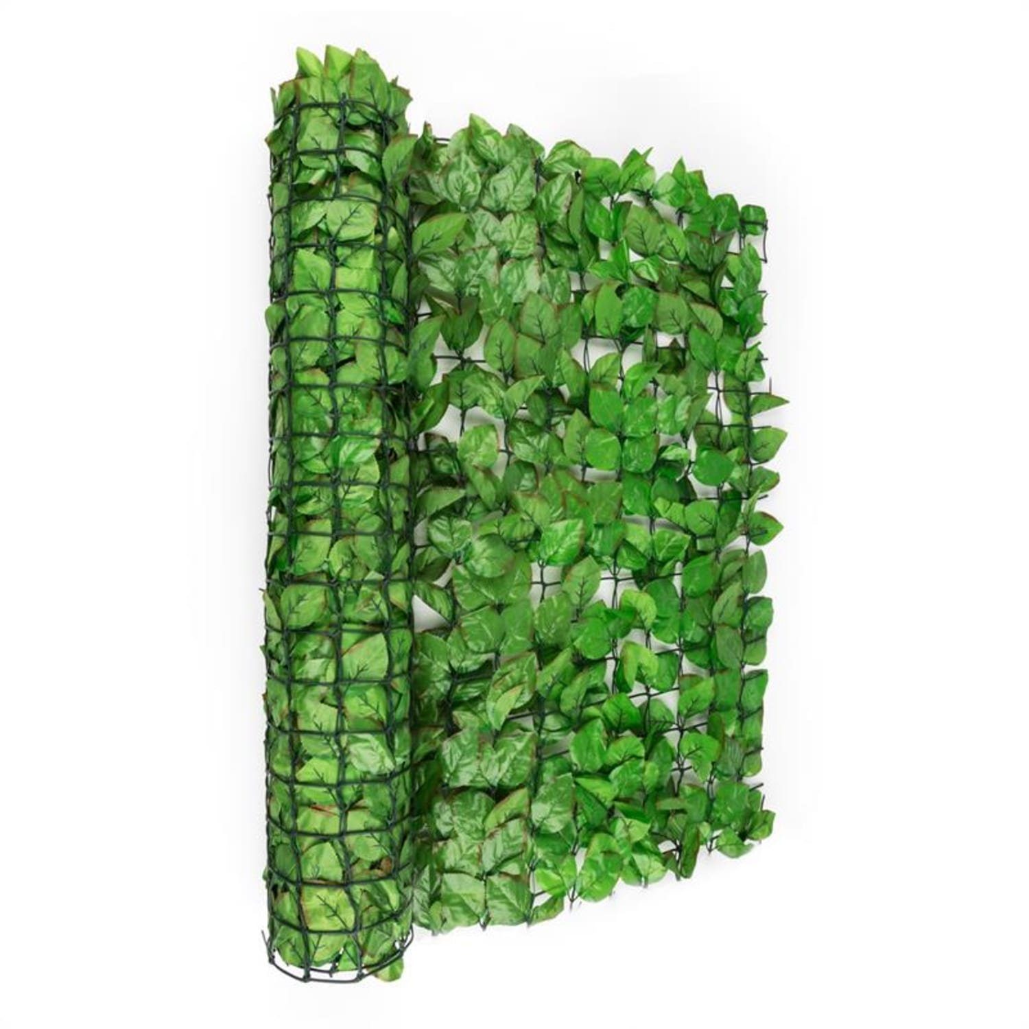blumfeldt Balkonsichtschutz Fency Bright Leaf Sichtschutzzaun Windschutz 300x100 cm Buche hellgrün