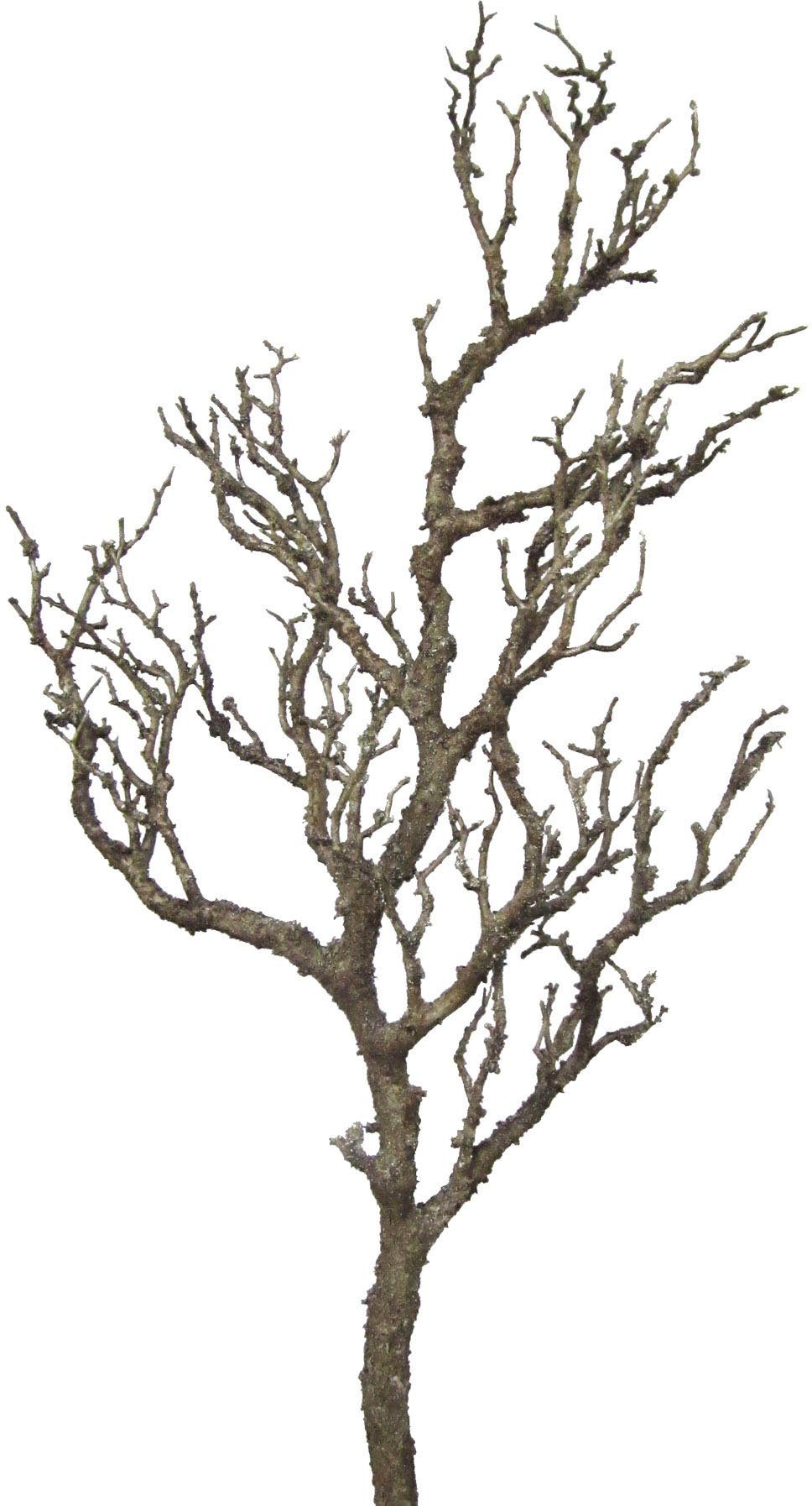 Kunstzweig Dekoast Ast, Creativ green, Höhe 78 cm günstig online kaufen