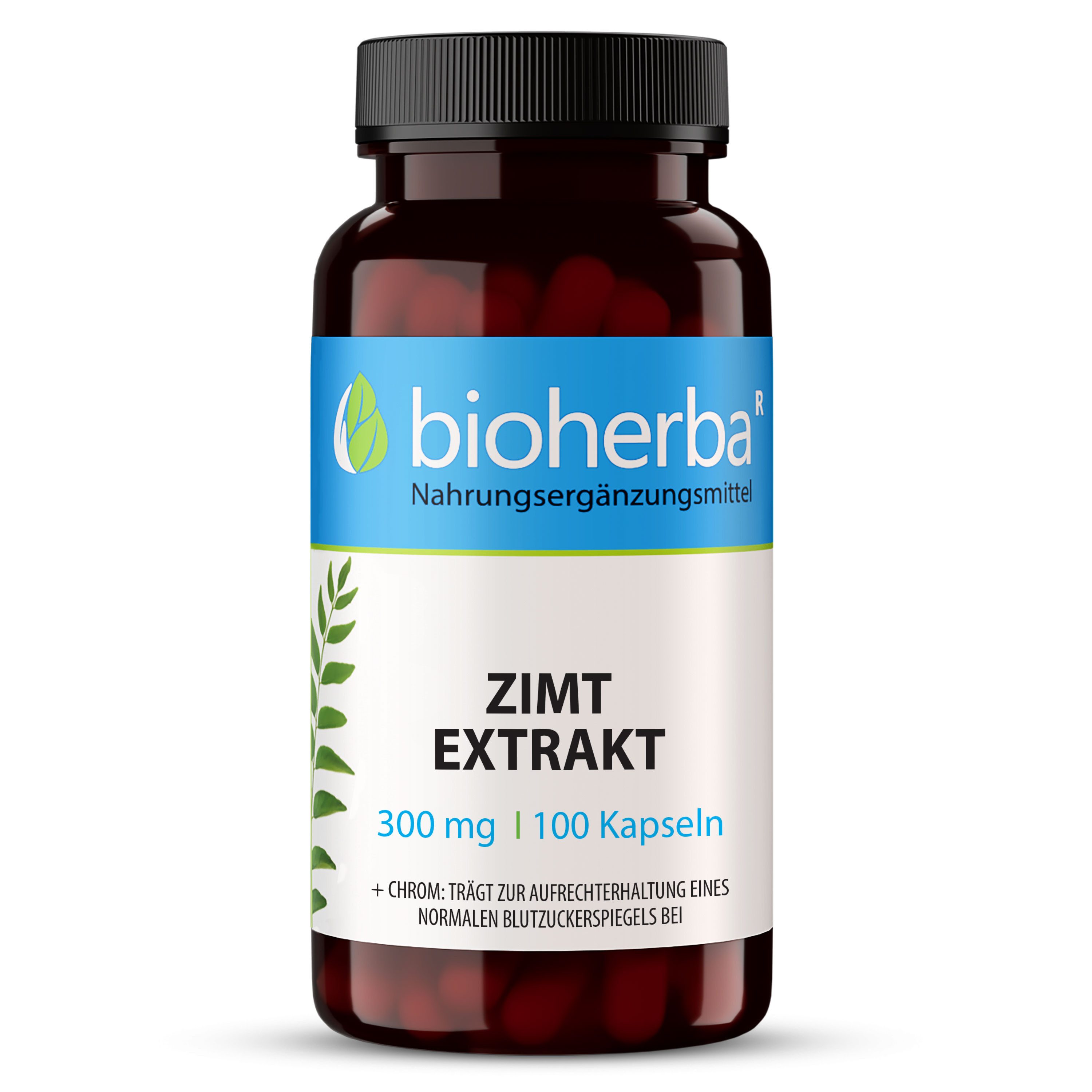 BIOHERBA R Bioherba Zimt Extrakt 300 mg 100 Kapseln Nahrungsergänzungsmittel, 1 er