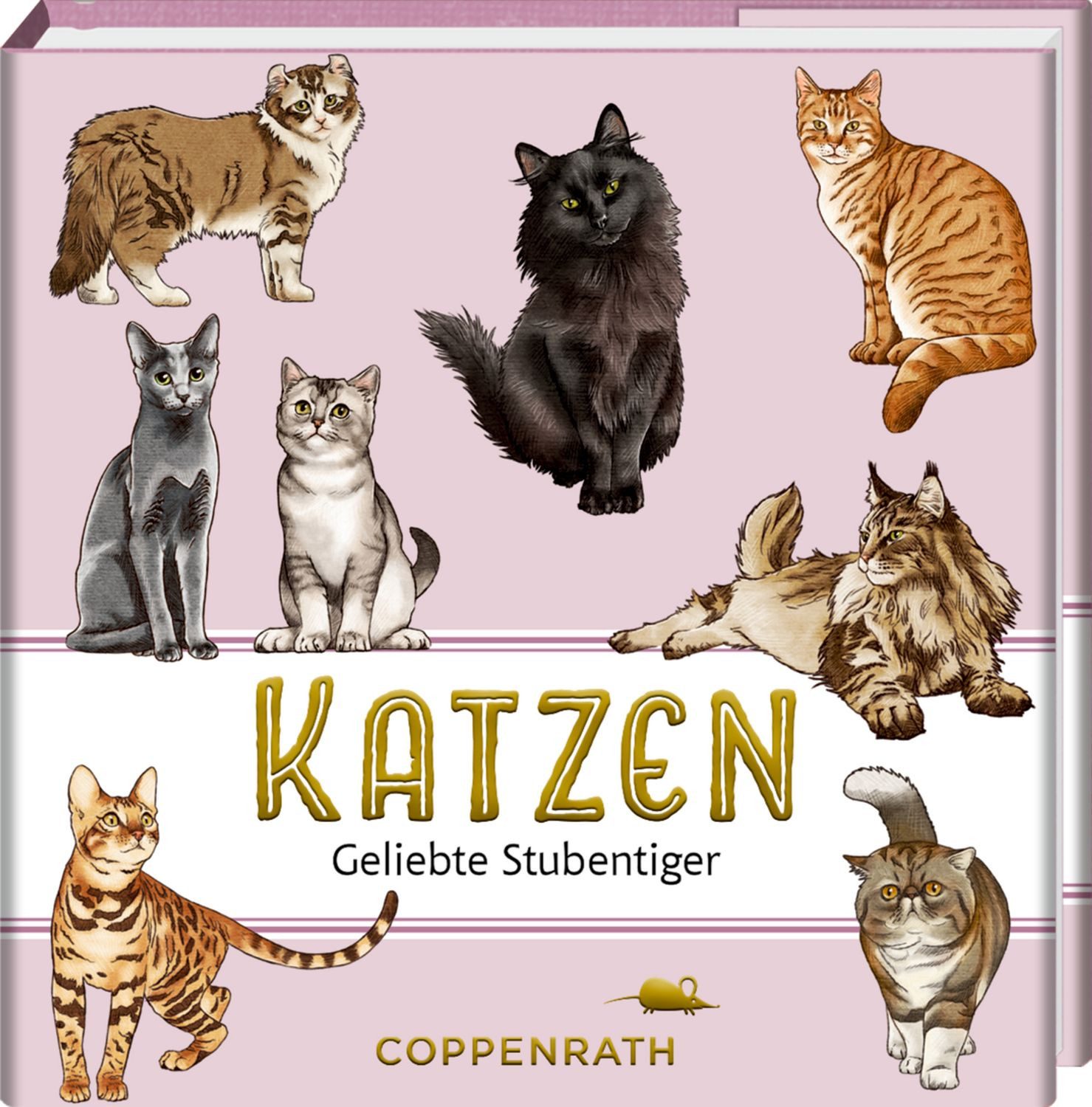 Katzen / Julia Gerigk