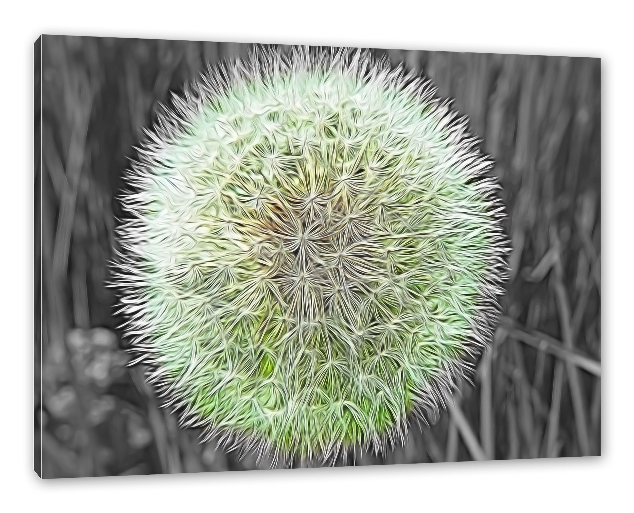 Pixxprint Leinwandbild klassische zarte Pusteblume, klassische zarte Pusteblume (1 St), Leinwandbild fertig bespannt, inkl. Zackenaufhänger