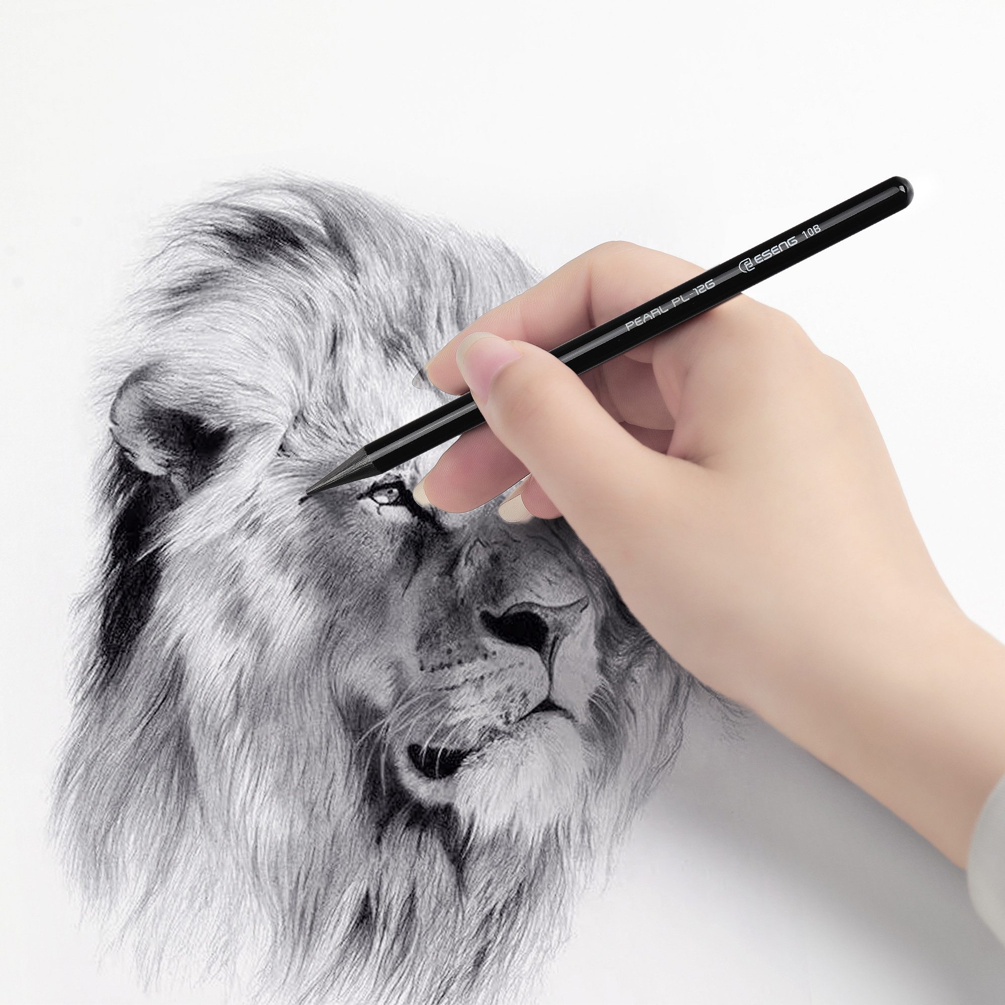 ESENG Bleistift PEARL PL-12G, Graphitstifte mit 12 verschiedenen Härtegraden