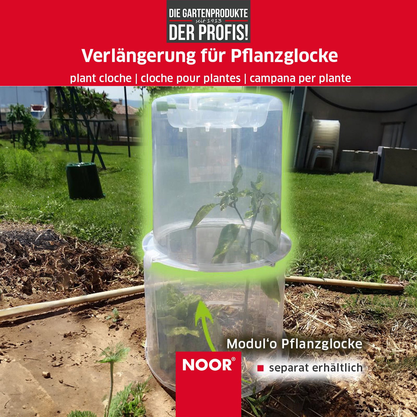 NOOR Frühbeet Pflanzglocke MODUL´O - verlängerbar, mit Lüftungsgitter für ideales Mikroklima für Ihre Pflanzen