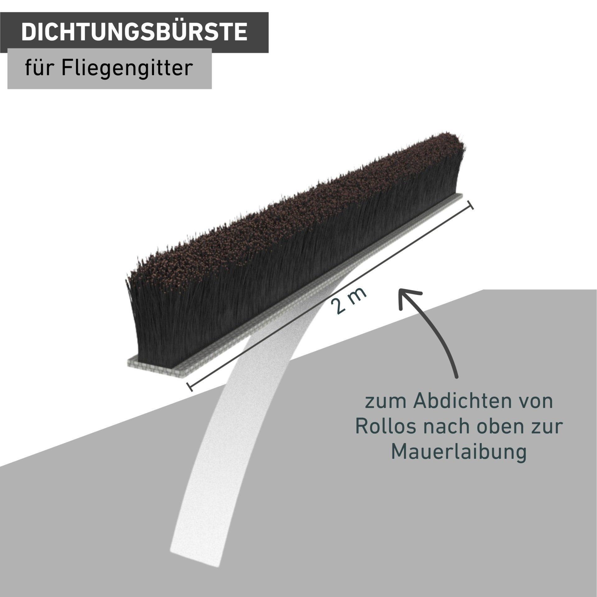 Windhager Dichtungsband für Insektenschutz Rollofenster und Rahmensysteme, Dichtungsbürste 2 m, (Packung, 1-St), Fliegengitter Zubehör, selbsklebender Schutz vor Insekten