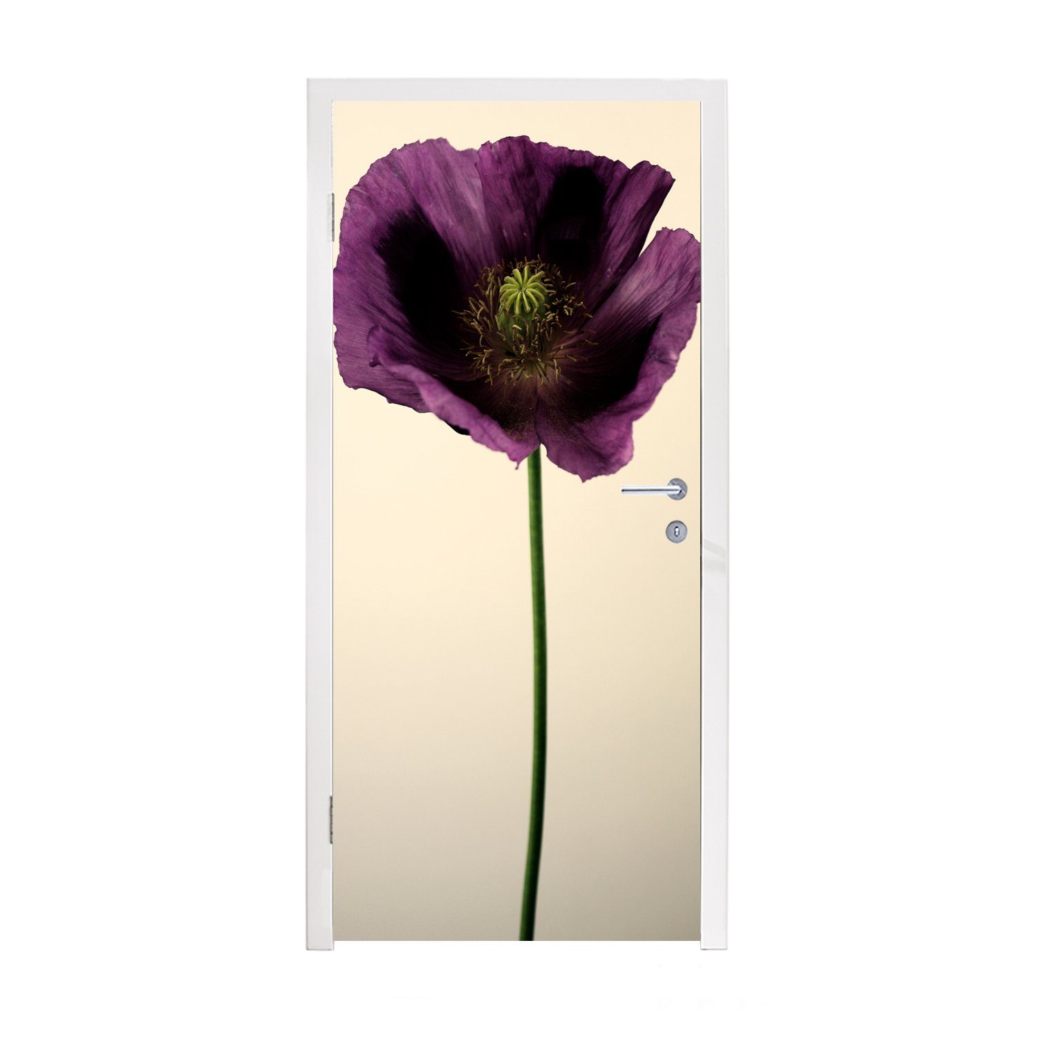 (1 Türaufkleber, Mohns, für violetten cm Tür, Türtapete 75x205 Nahaufnahme bedruckt, MuchoWow Matt, Fototapete St), eines