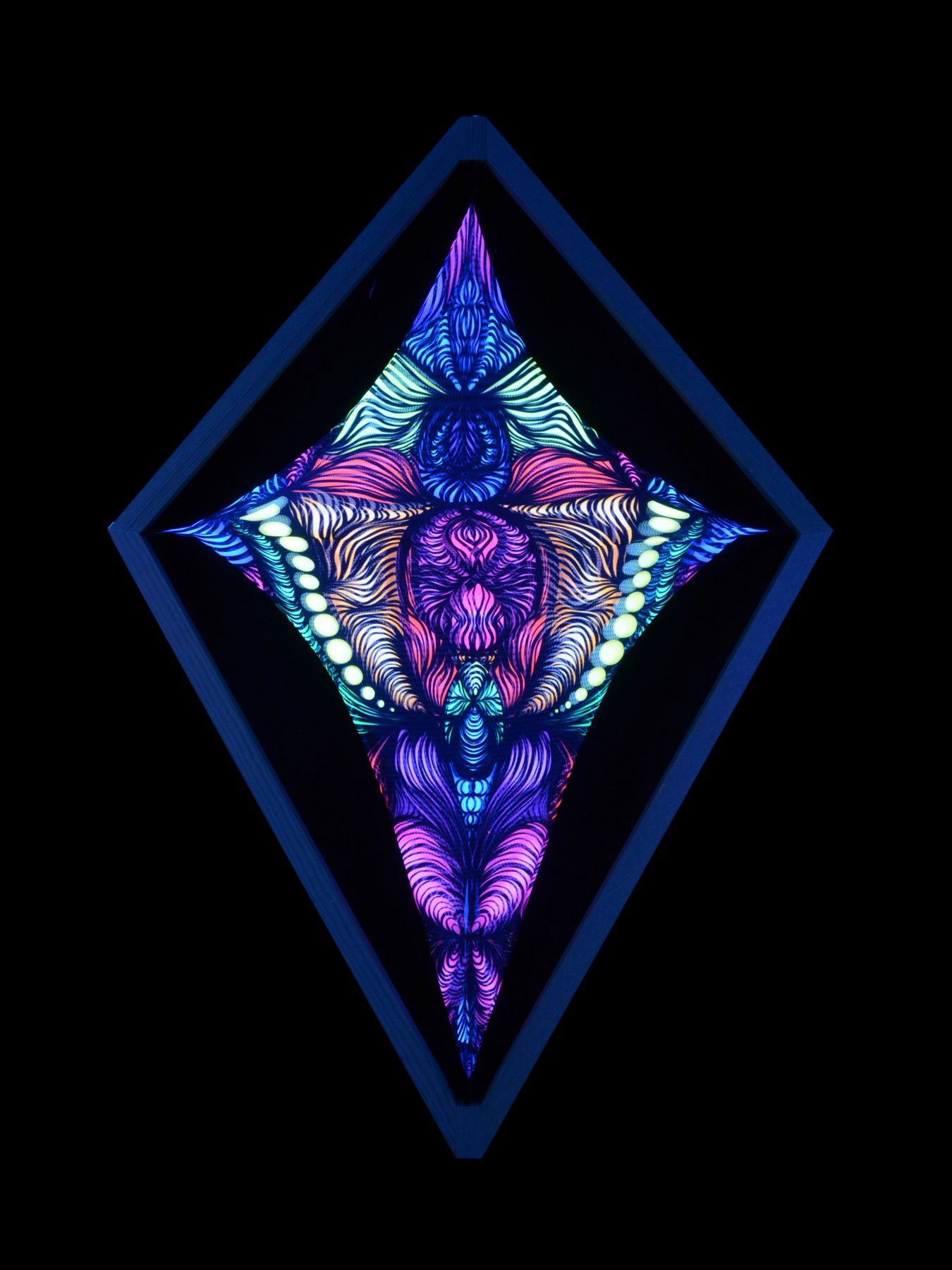 PSYWORK Wanddekoobjekt Schwarzlicht Mesh Segel 60x86cm, UV-aktiv, "Framed Drache Field Magnetic Neon" leuchtet Schwarzlicht unter