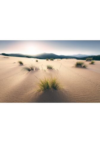 KOMAR Фотообои »Vivid Dunes« Bah...