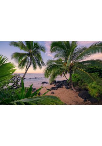 KOMAR Фотообои »Hawaiian Dreams &...