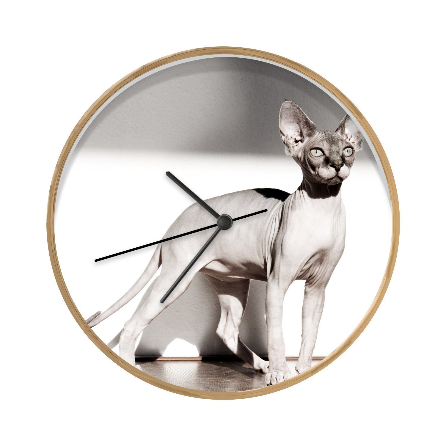 Horienteeon Wanduhr Mit Mondstern & Katze - Stille Quarzuhr Für Zuhause