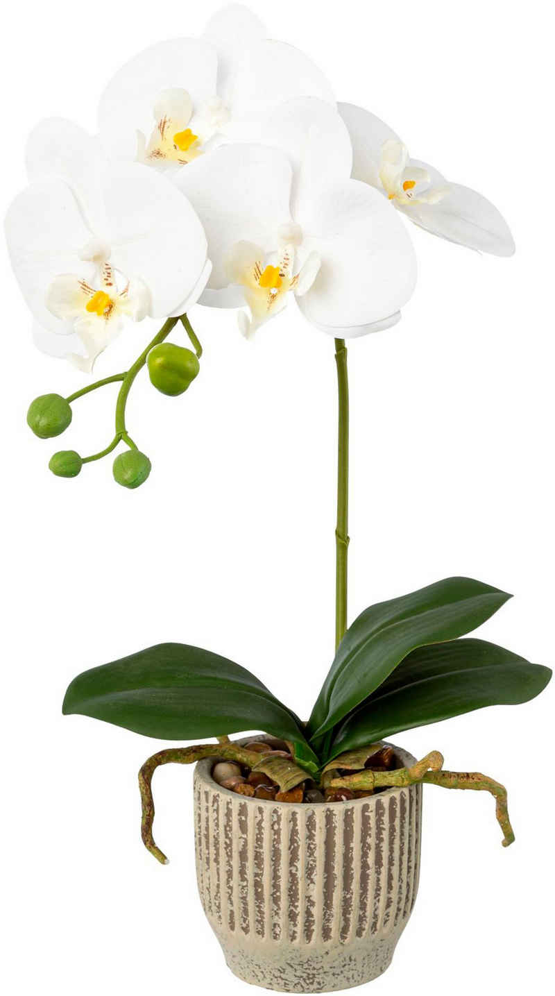 Kunstorchidee Orchidee Phalaenopsis im Keramiktopf, Creativ green, Höhe 36 cm