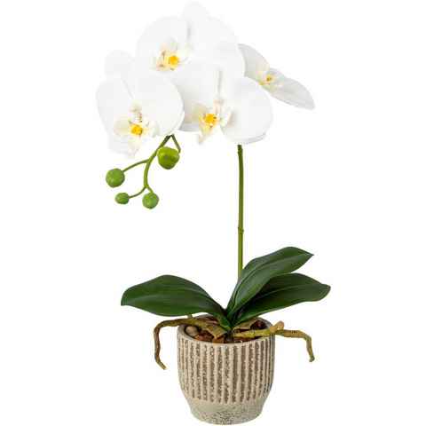 Kunstorchidee Orchidee Phalaenopsis im Keramiktopf, Creativ green, Höhe 36 cm