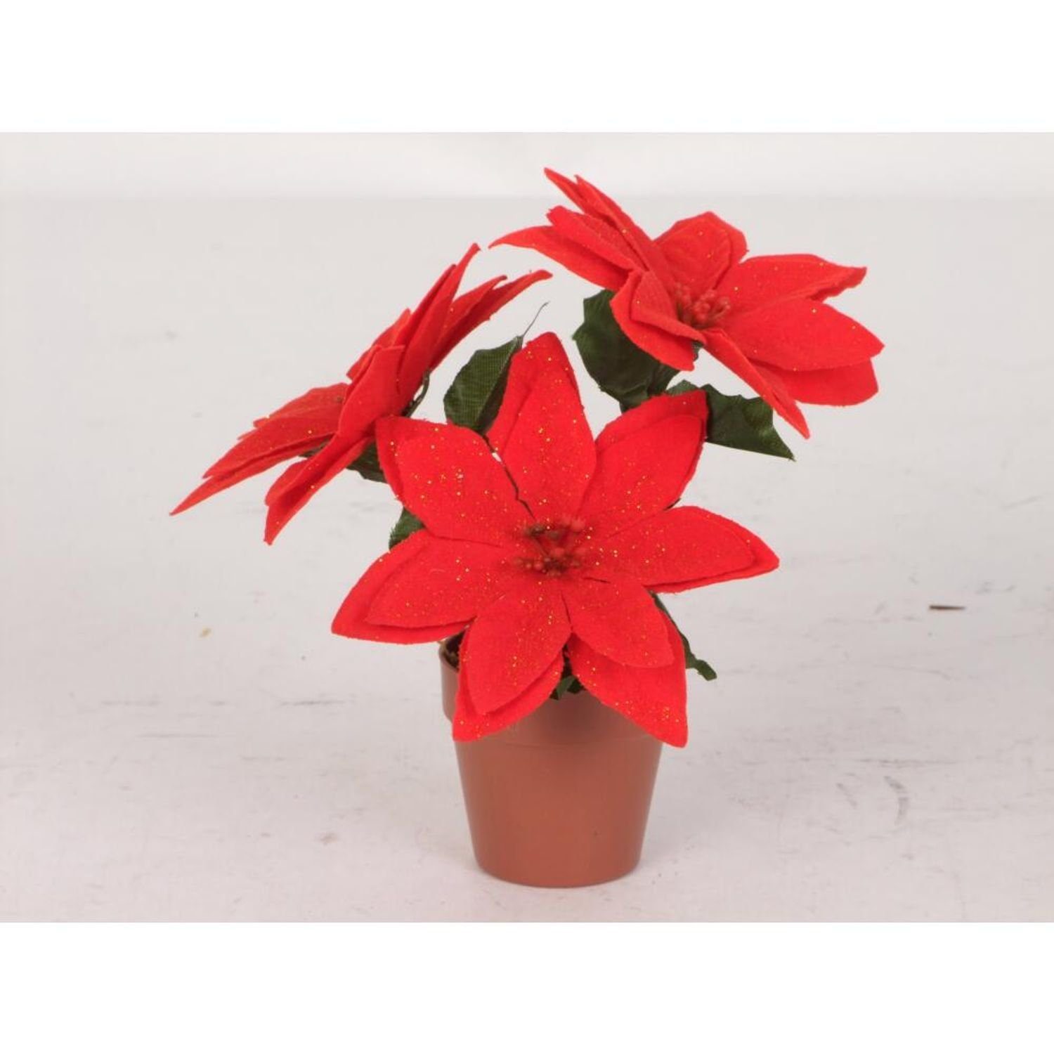 Kunstpflanze 24 Stück Weihnachtsstern im Topf 19cm rot Kunstpflanze Blume  Dekoratio, BURI