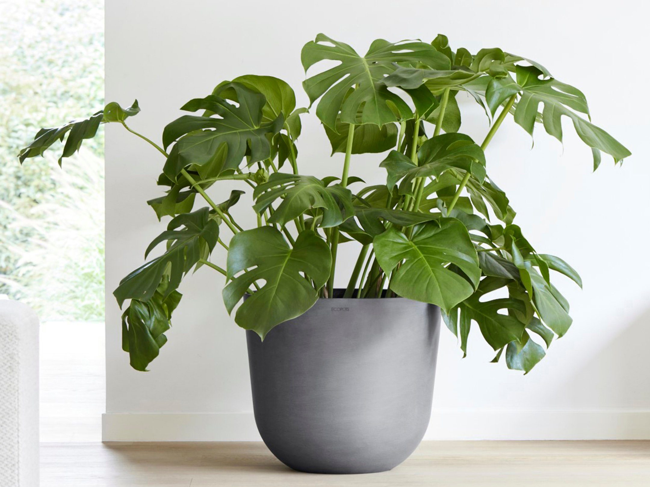 ECOPOTS Blumentopf Oslo 45 + Wassersystem Grau, für innen und außen: frosts günstig online kaufen