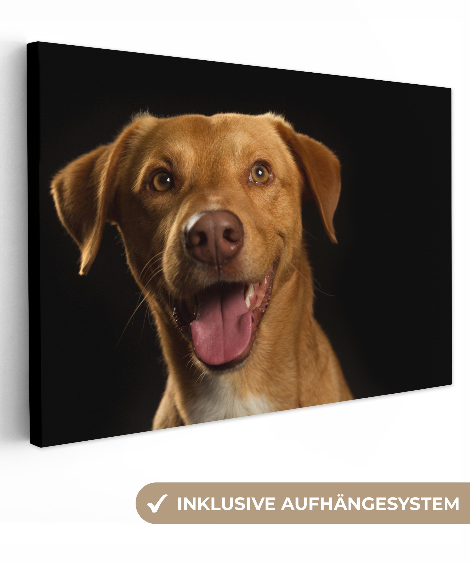 cm Wandbild - 30x20 Porträt, St), Hund Wanddeko, (1 Leinwandbilder, Aufhängefertig, Leinwandbild Haustiere - OneMillionCanvasses®