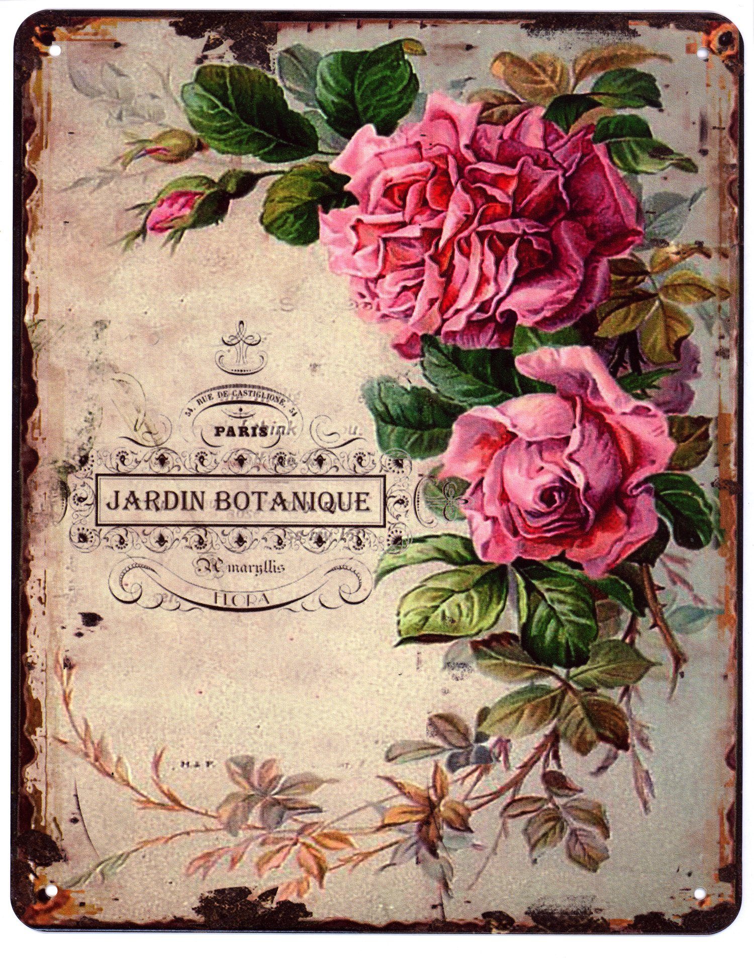 Metallschild Blechschild Rose Jardin Botanique