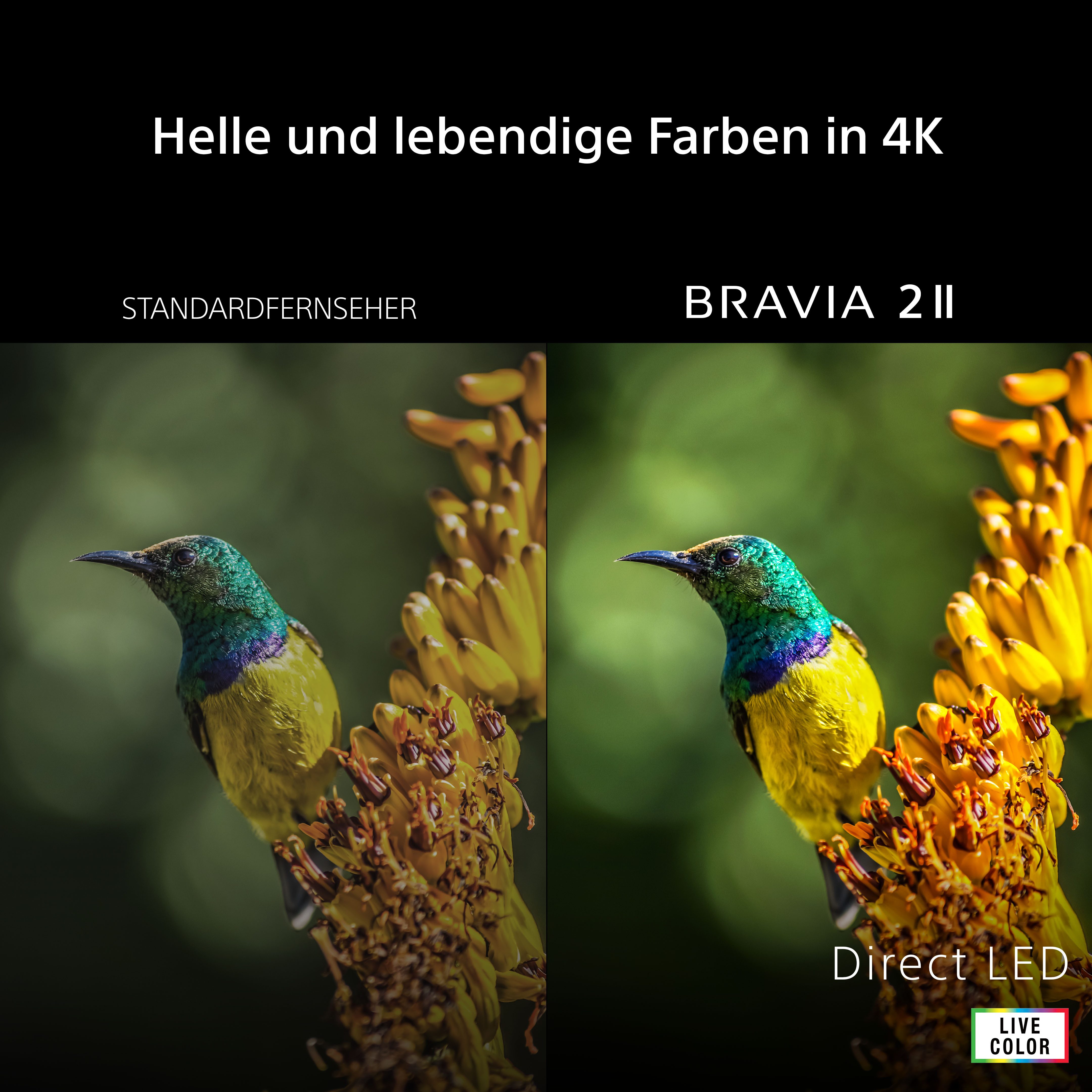 Sony K50S25M2PB DLED-Fernseher (126 cm/50 Zoll, 4K Ultra HD, Google TV)