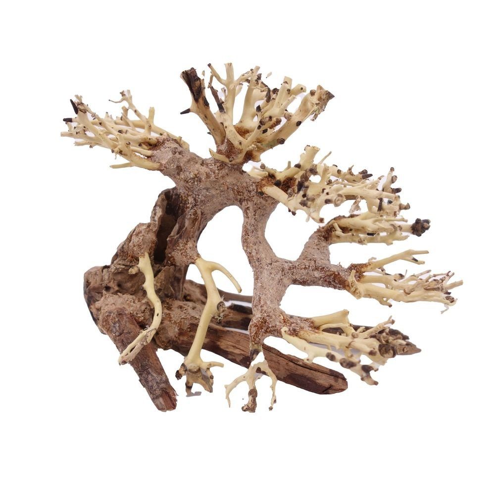 Aquaone Aquarium M Bonsai Baum Nr.10531 Wurzel Holz Aquarium Deko