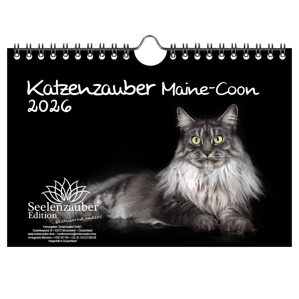 Seelenzauber Wandkalender Katzenzauber Maine-Coon DIN A5 Kalender für 2026 Katzen Katzenbabys