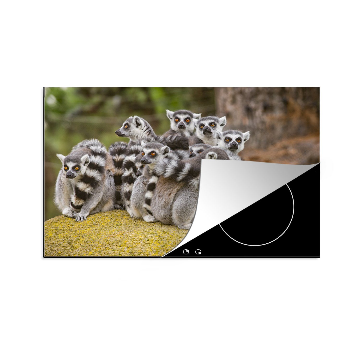 auf einem Felsen, MuchoWow tlg), (1 Ceranfeldabdeckung Acht cm, küche, Herdblende-/Abdeckplatte 81x52 Schutz Lemuren-Affen für Vinyl, die Induktionskochfeld