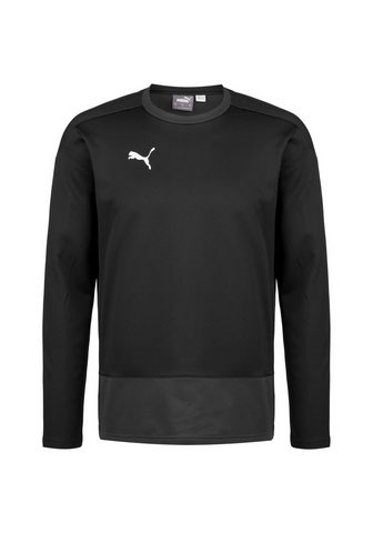 PUMA Кофта спортивного стиля »Teamgoa...