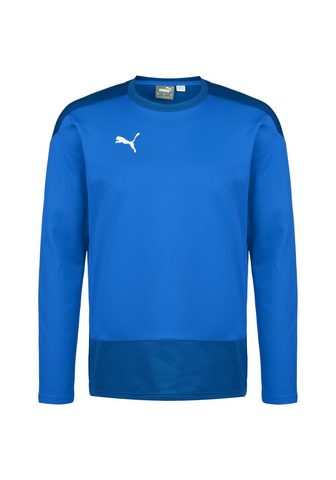 PUMA Кофта спортивного стиля »Teamgoa...