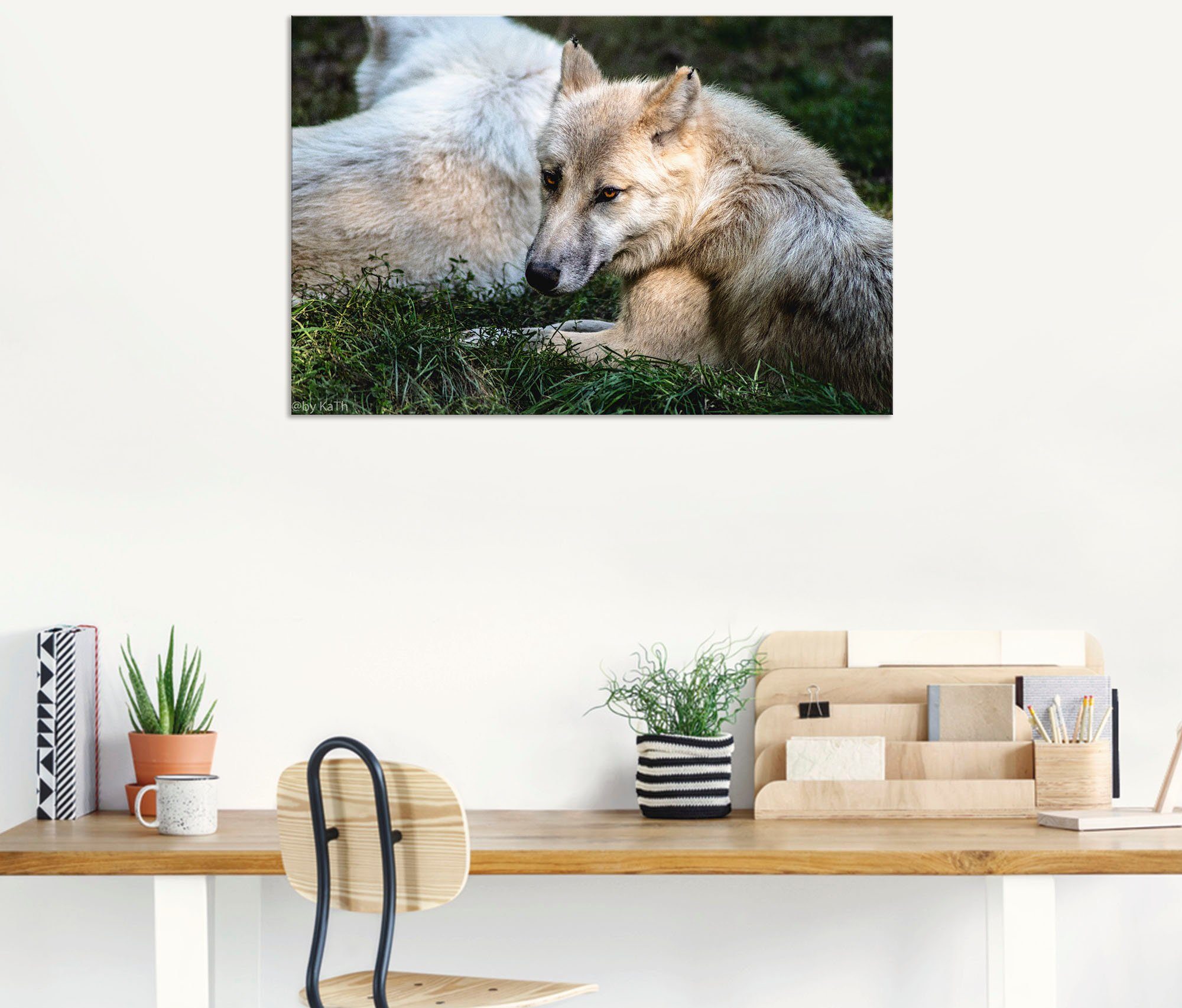 Artland Wandbild Wolf II, Wolfbilder Alubild, (1 in Leinwandbild, Größen Wandaufkleber St), als Poster versch. oder