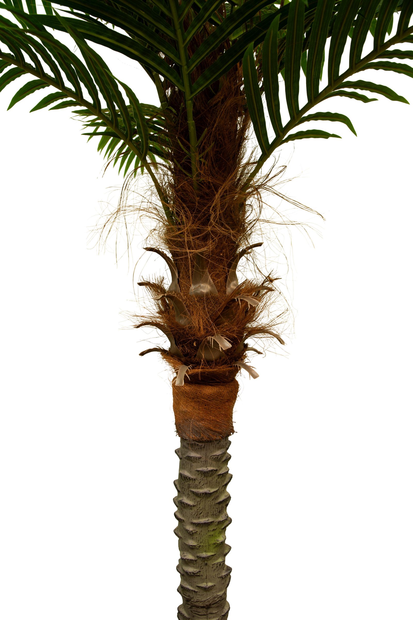 Kunstpalme Phönixpalme 210cm bis 230cm ZF Dekopalmen künstliche Palmen Palme, Seidenblumen Roß, Höhe 220 cm
