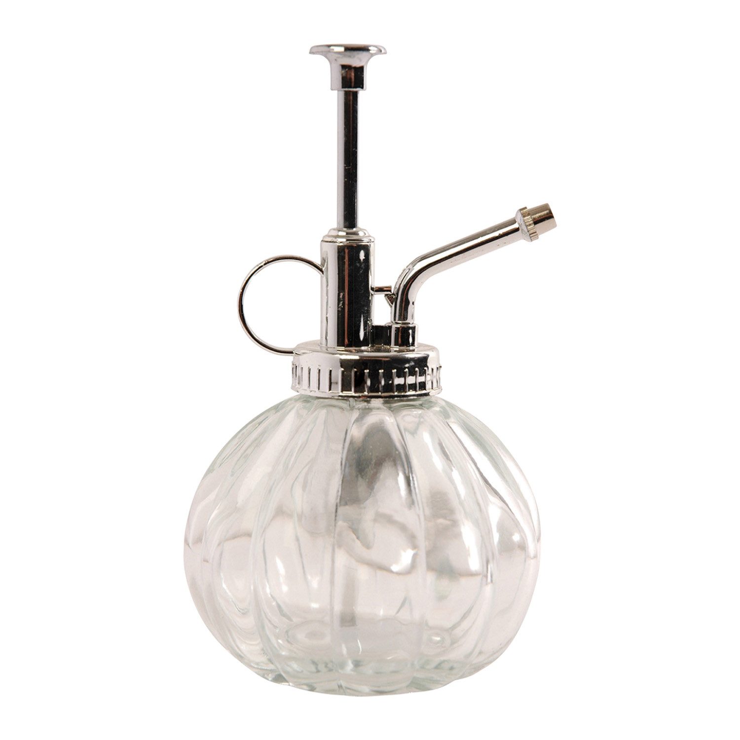 Sprühflasche Pflanzensprüher klar/silber Pflanzensprüher Sprühflasche